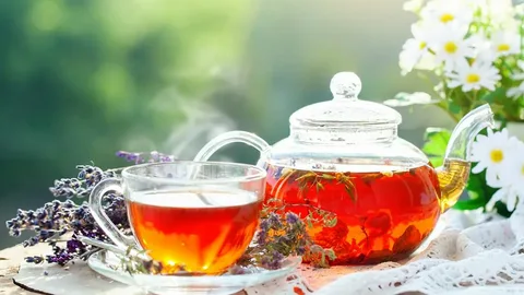 تصویر 4 از فروش چای سیاه گلستان + قیمت خرید به صرفه